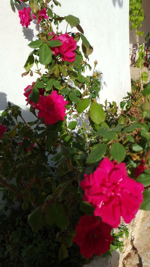 Giardini Di Lanzo Villa Martina Franca Eksteriør billede